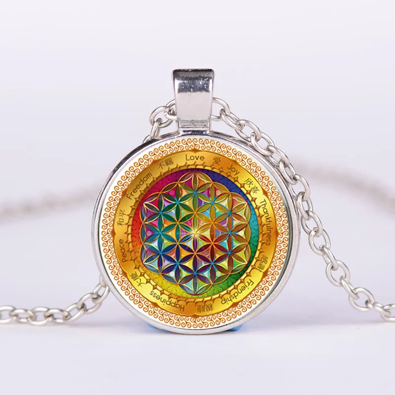 3643434935_942284573