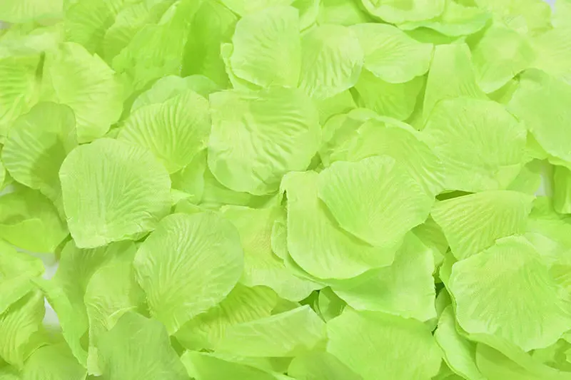 2382-14-10pcs-light green-