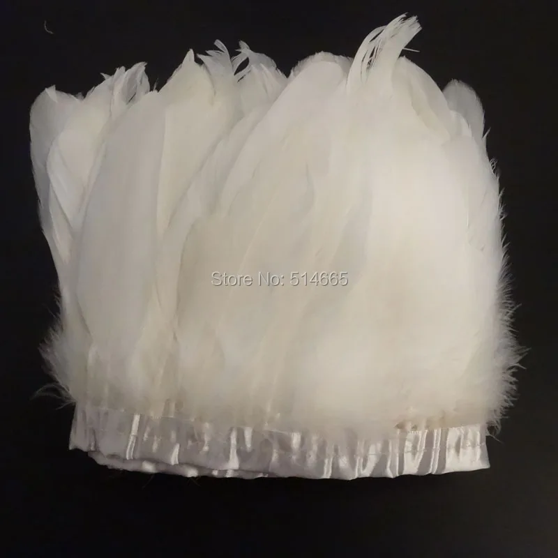 DSC06420
