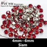 Rhinestones in claw Siam 19