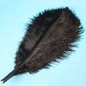 

The new 50 PCS smart black ostrich feathers 50 to 55 cm / 20 to 22 inches adornment feather