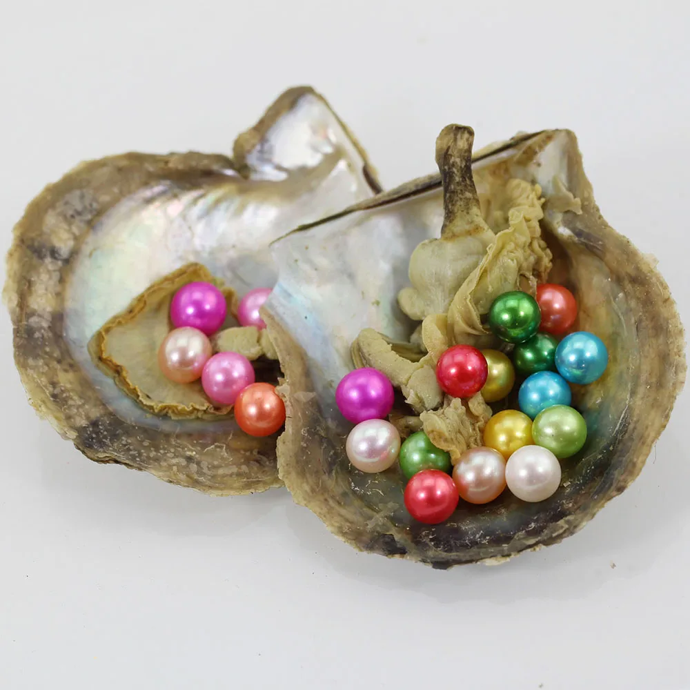 Wish Pearl Oyster Jewelry Gifts Live Party 6 7mm AAA Grade Vacuum