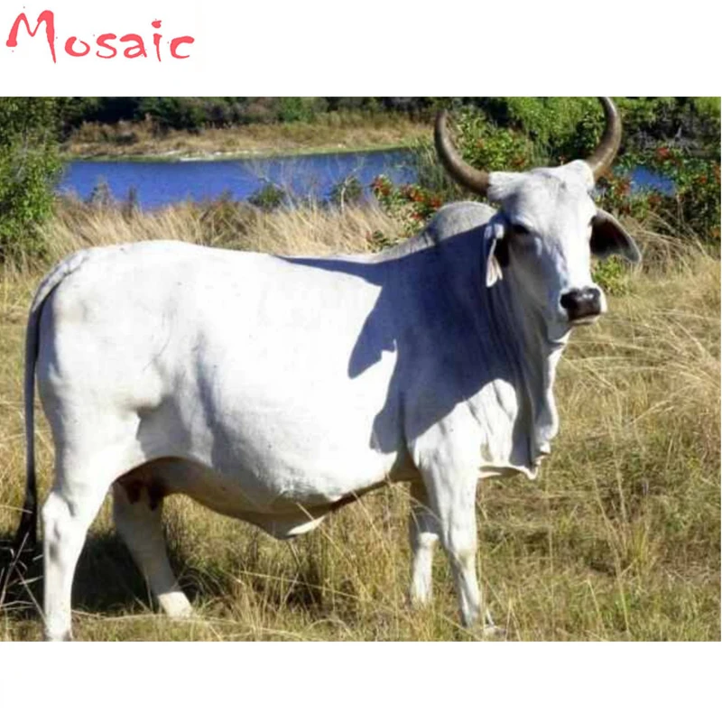 

,Diamond Embroidery,Animal,Cow,5D,Diamond Painting,Cross Stitch,3D,Diamond Mosaic,Farm Decoration,Friend Gift