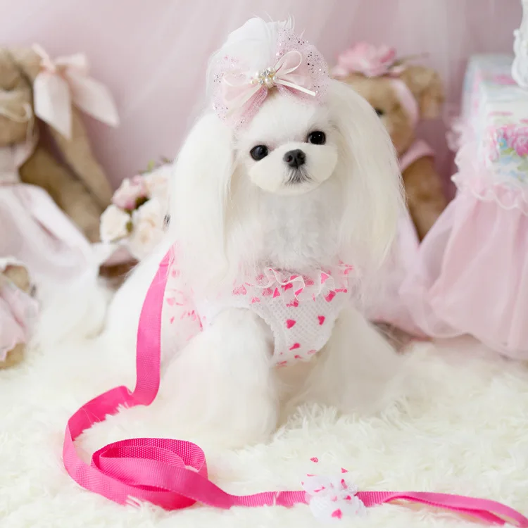

Fluorescent Protection Chest Back Pet Chest Strap Dog Vest Leash Dog Harness Bling Personalized Glow In The Dark