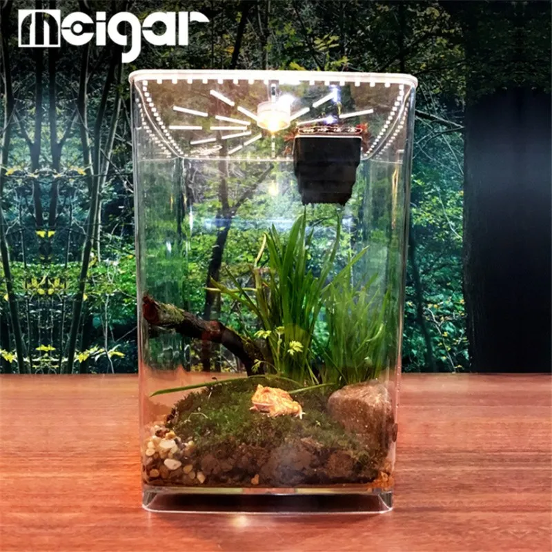 

Reptiles Terrarium Feeding Box Desk Transparent Spider Scorpion Small Pets Incubation Box Amphibians Reptile Breeding Live Boxes
