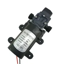 Small dc 12v and 24v water pump 60W 5LPM high pressure self priming diaphragm mini pump automatic pressure switch