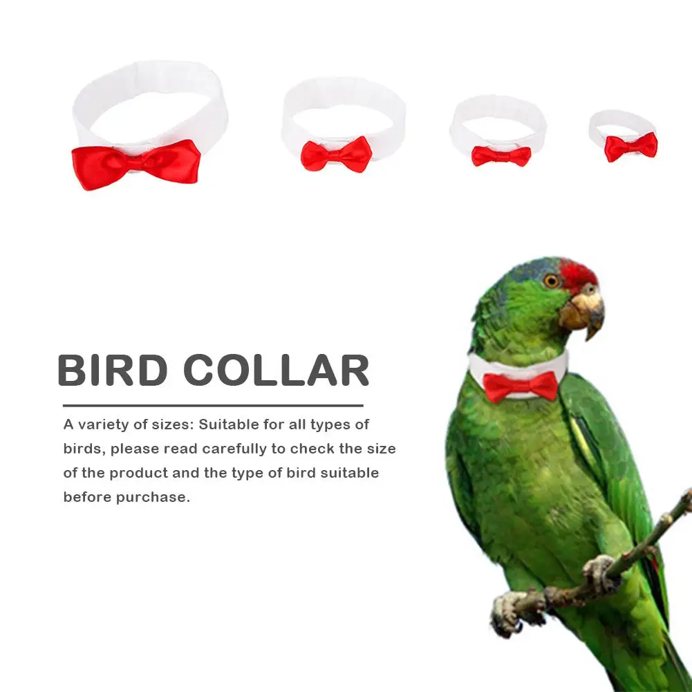Одежда с птицами попугай милый галстук-бабочка галстук для маленький средний большой птицы