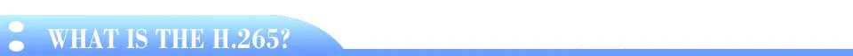 WHAT IS THE H.265