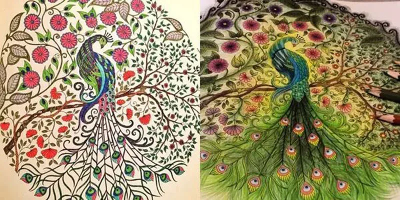 Secretos Jardin Adultos Libro Para Colorear Un De La Tinta