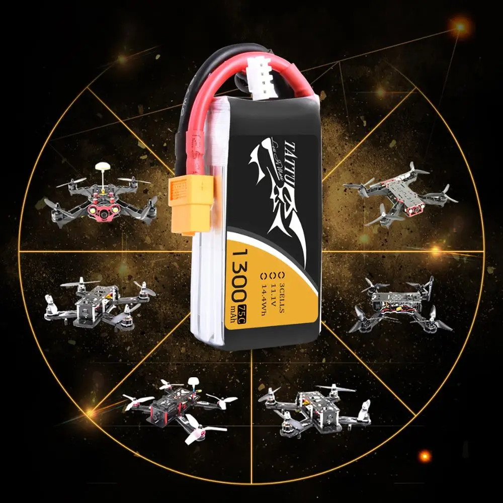 Lipo Battery (4)