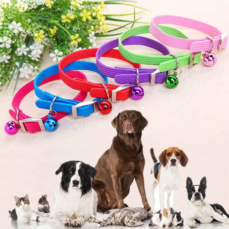 Misterolina Rubber Nylon Dog Collar Cute Dogs Collars With Stretch