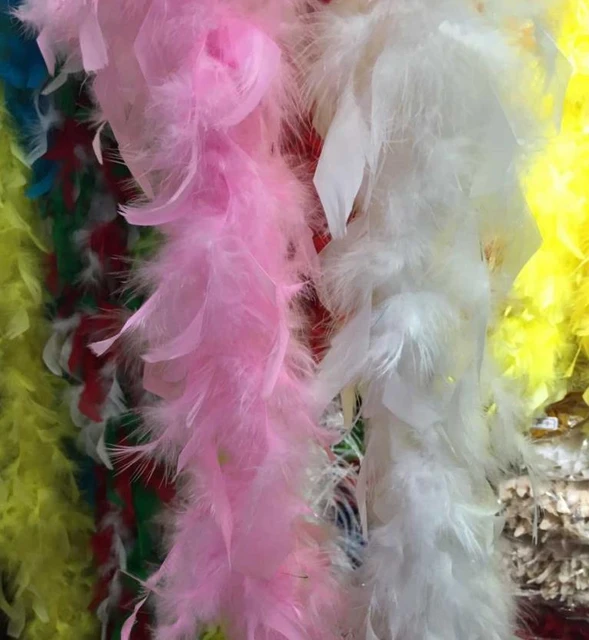 2Meter Feather Boa Dance Burlesque Fancy Dress Costume Accessory Hen Party  Decor