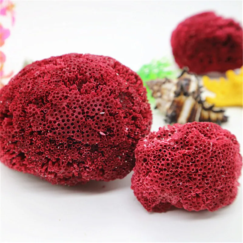 Natural Sea Red Coral Fish Tank Aquarium Landscaping Furnishing Natural Ornament Marine Sea Home Wedding Decoration3