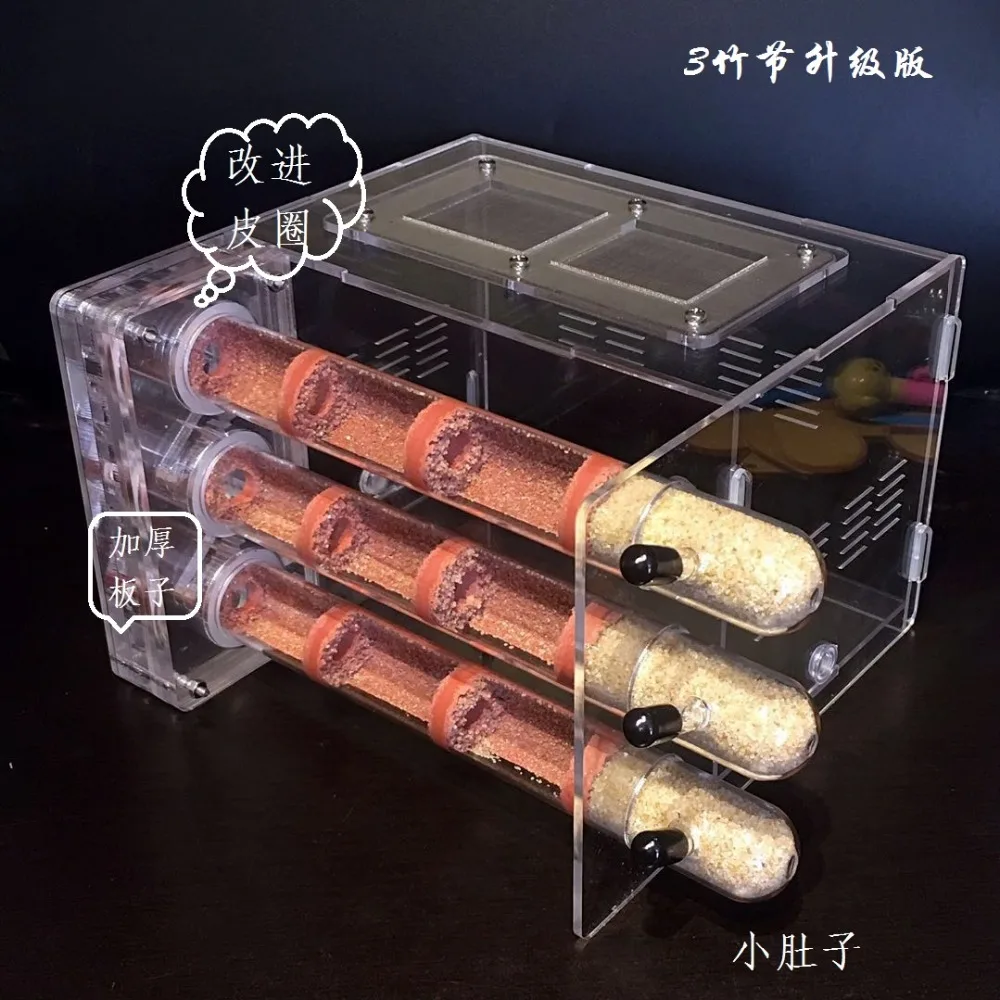 3-tubes-ant-nest (3)