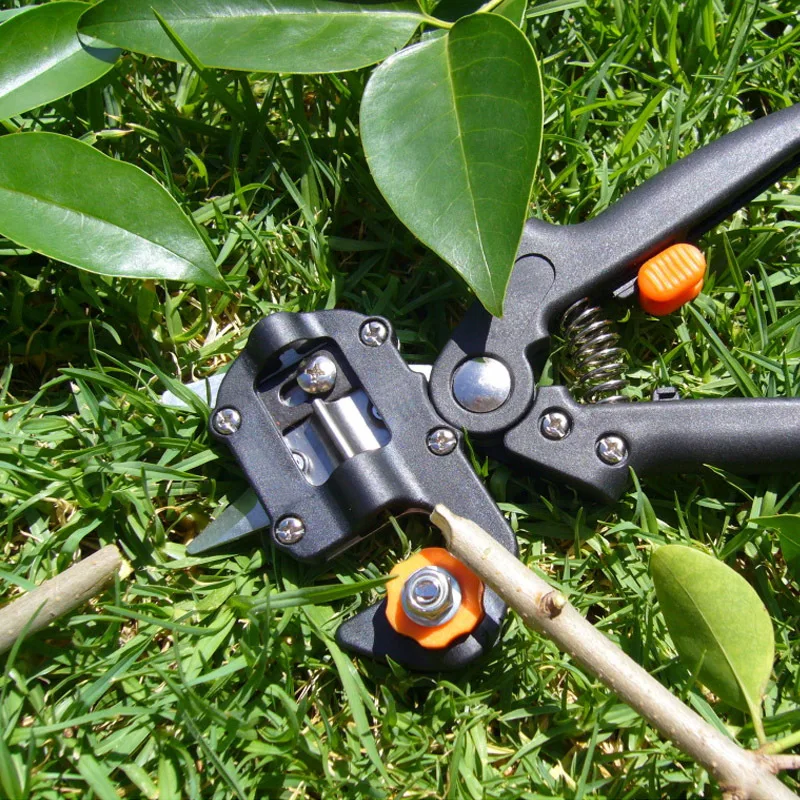 

HOT Garden Fruit Tree Pro Pruning Shears Scissor Grafting cutting Tool pruner Tree Cutting Tool