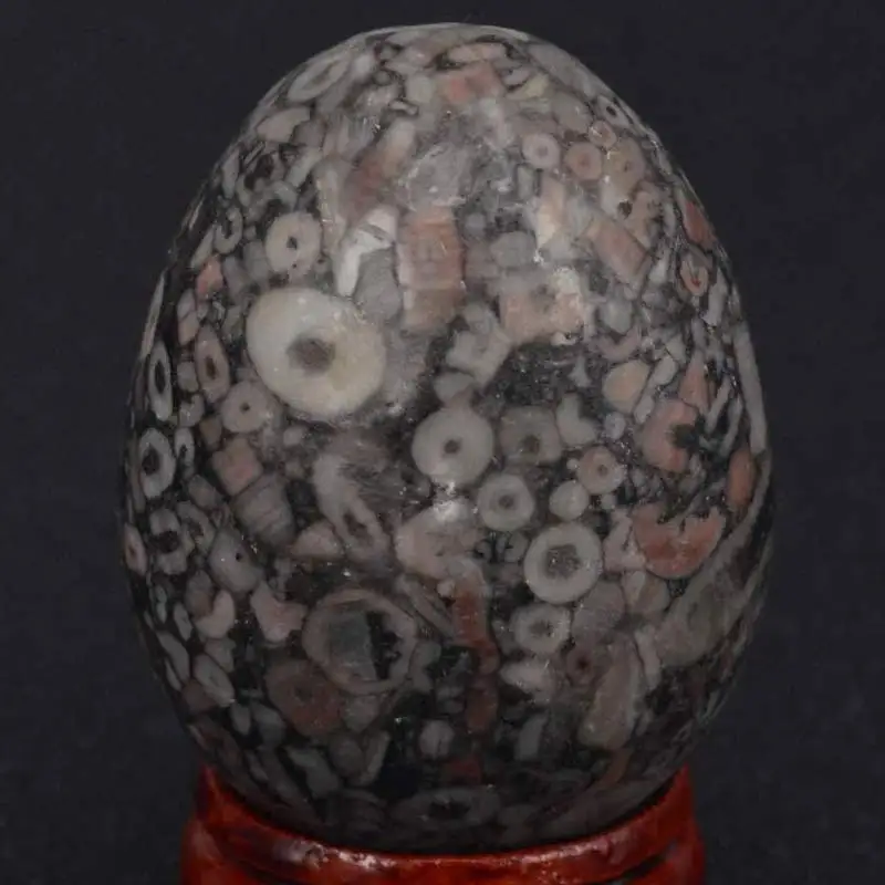 

36x49mm Natural Gemstone Crinoid Fossil Jasper Sphere Egg Healing Reiki Crafts Stone Massage Finger Exercise