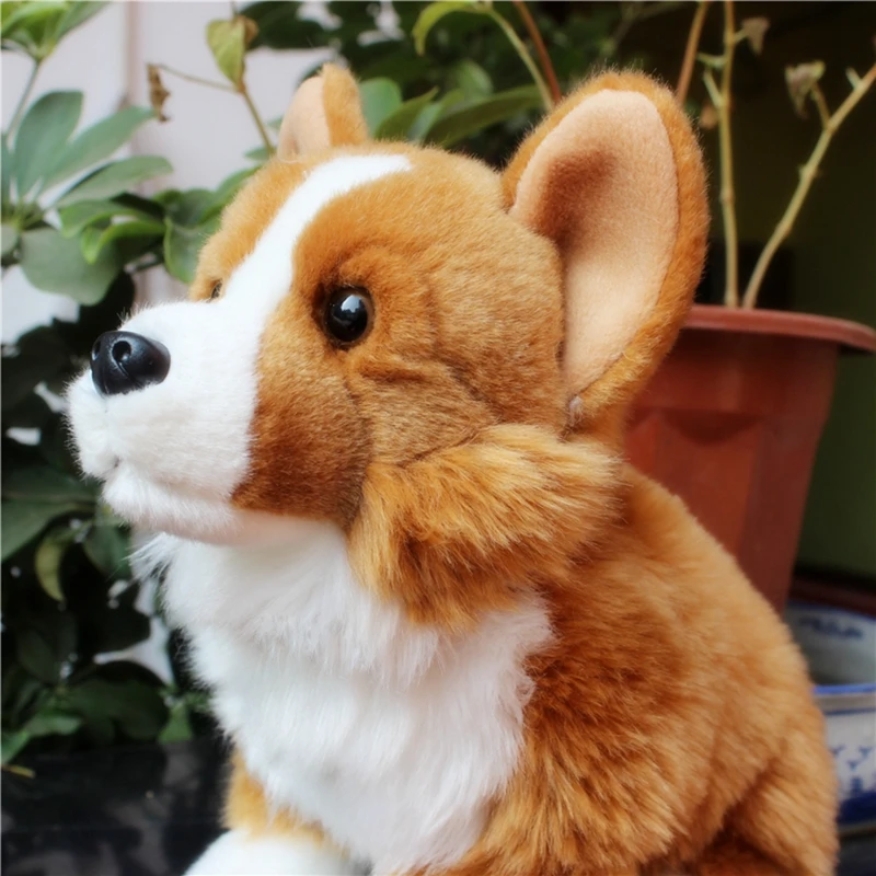 Kawaii Quality Simulation Animal Corgi Plush Toy Stuffed Animals Dog Doll  Mini Dogs Toys for Baby Gift Decoration 28cm DY50178(1)