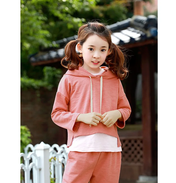 baby teenage girls clothing sets girl sport suits children clothing sets 2017 Brand New hooded kids clothes set hoody and pants  4 5 6 7 8 9 10 11 12 13 14  years old little big teenage girls tracksuits sets sports clothes  (10)