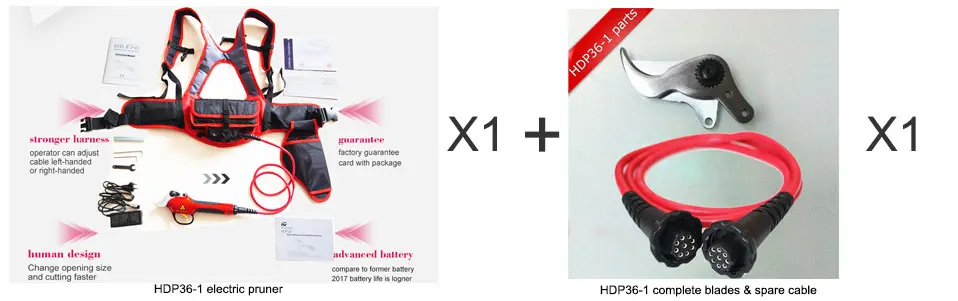 53e85839449ea_05