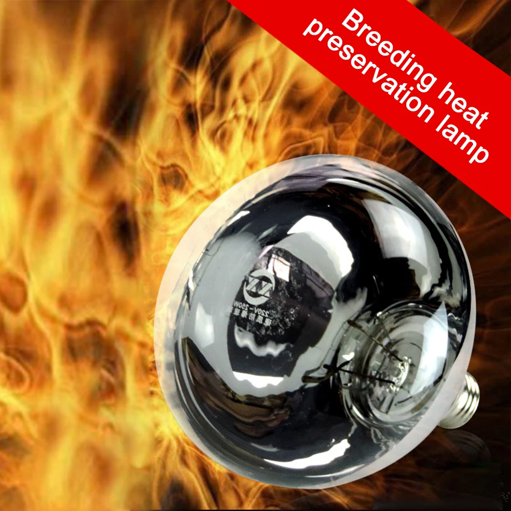 Heat Lights For Lizards