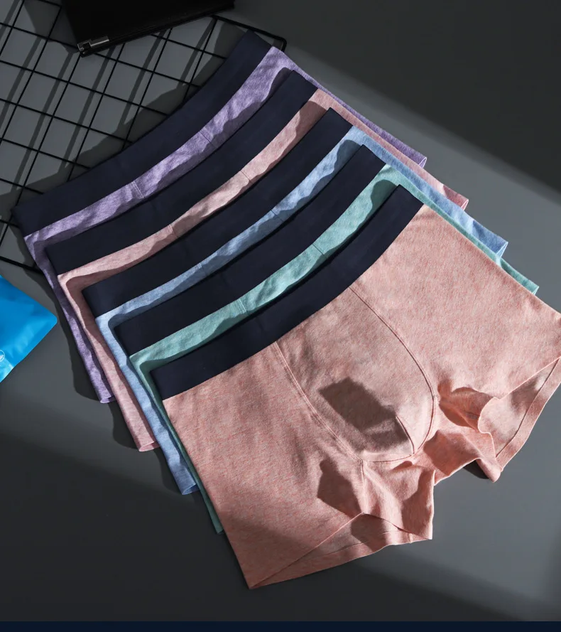 9554868601_2047742877