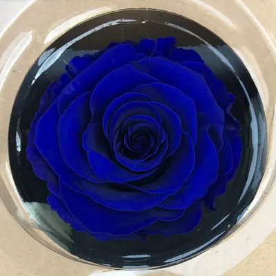 Стеклянный чехол для маленького принца, сохраненный цветок розы, красные розы на День святого Валентина, Рождество, свадебные подарки - Цвет: dark blue