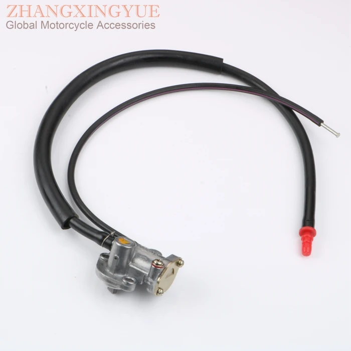 zhang1200028