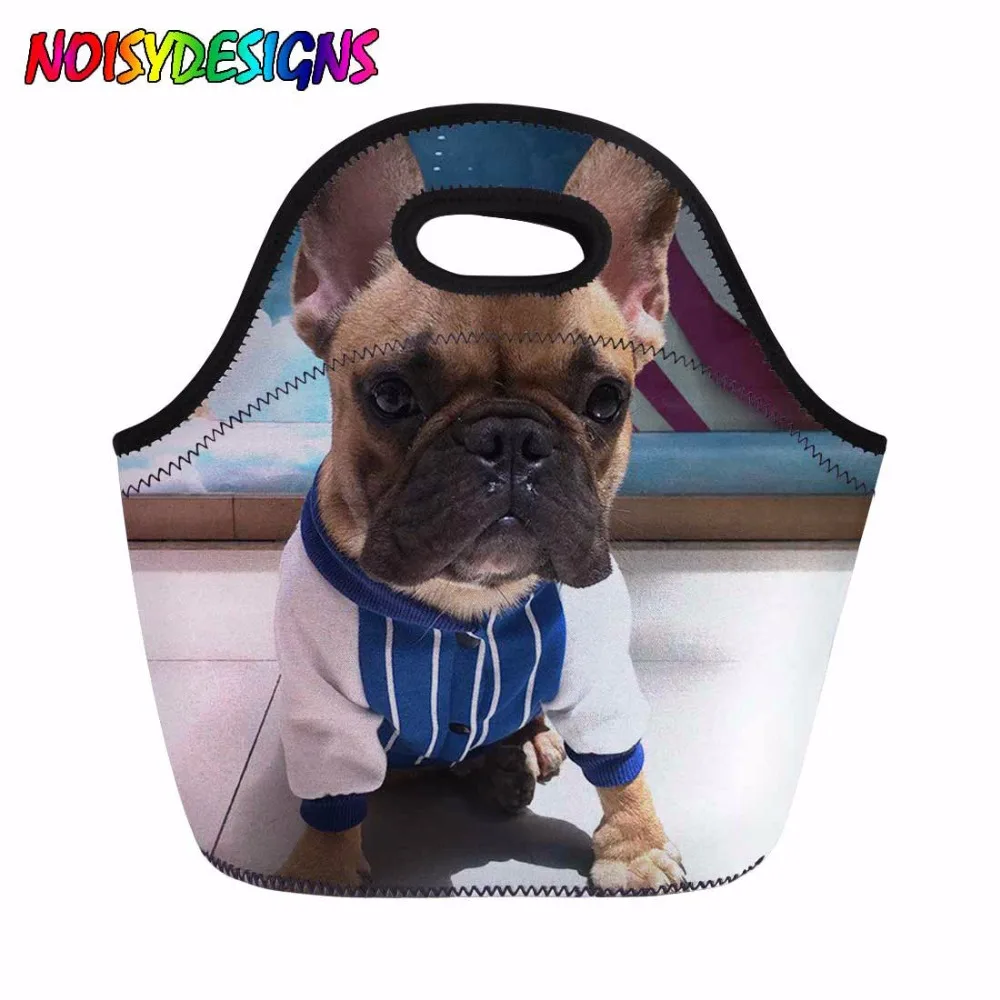 Bonito Bulldog Francês Isolados Almoço saco de