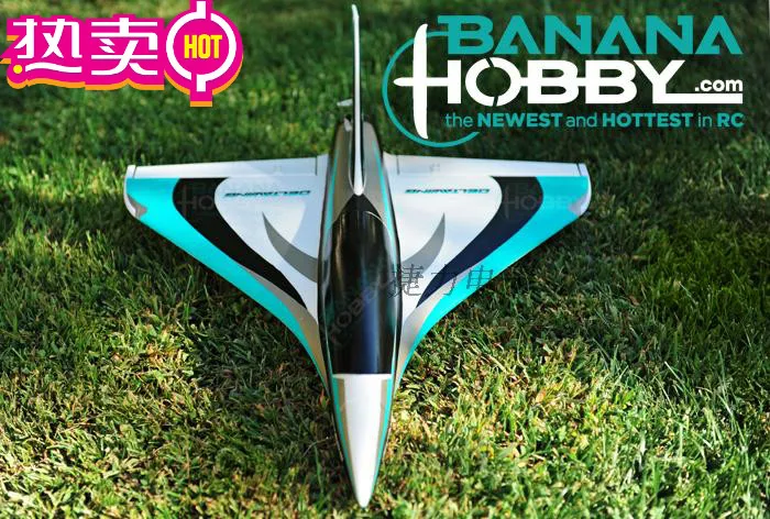 

Mini Blackbirds Delta wing 50mm rc airplane jet hobby EPO KIT