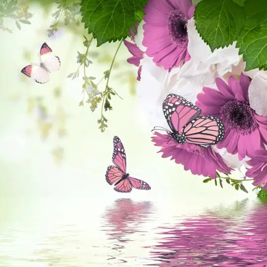 Butterfly Love Flowers