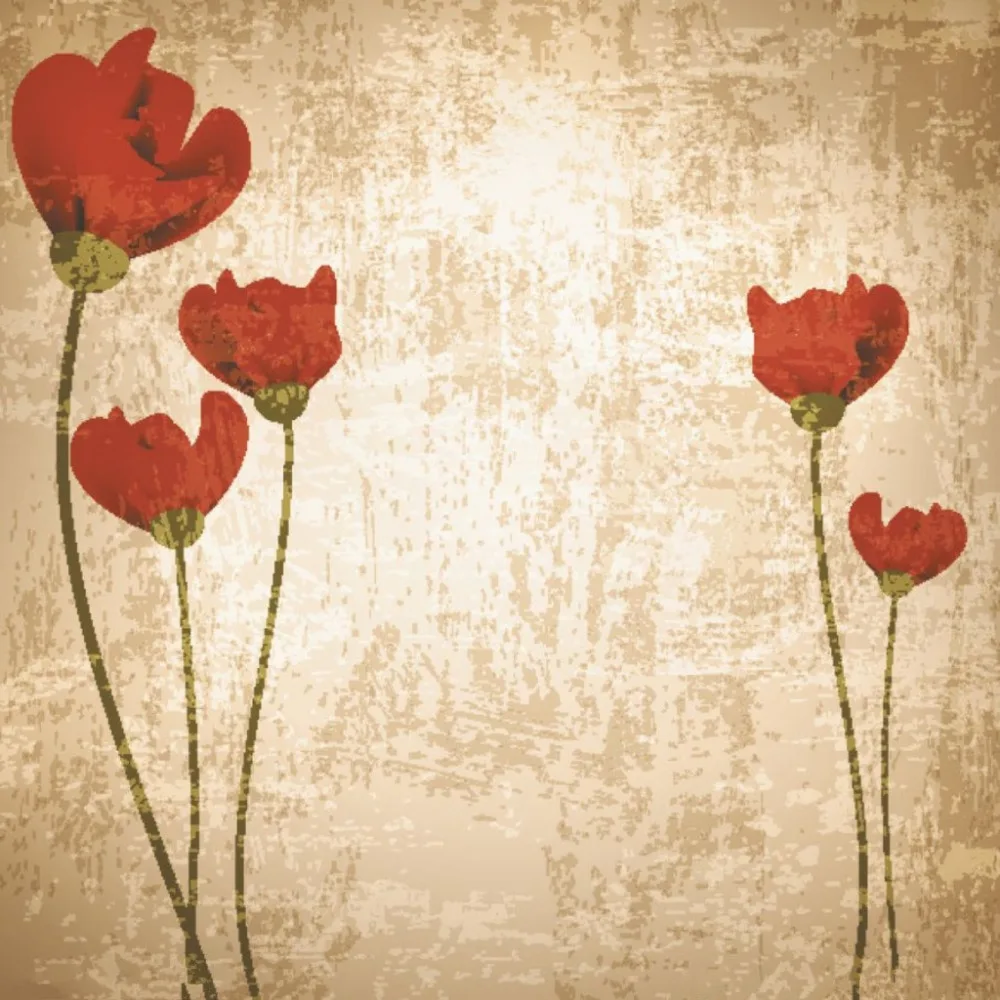 

SHANNY 10x10ft Vinyl Custom Photography Background Prop Vintage Photography Backdrops EVT-55
