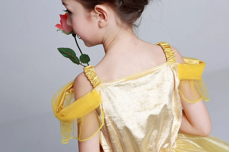 3522388174_1824037099