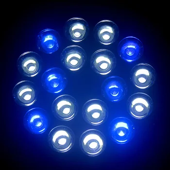 

E27 Fish Tank Lighting LED Aquarium Lights, Aquatic plants and coral illumination Grow Lights Blue & White Spot Lights