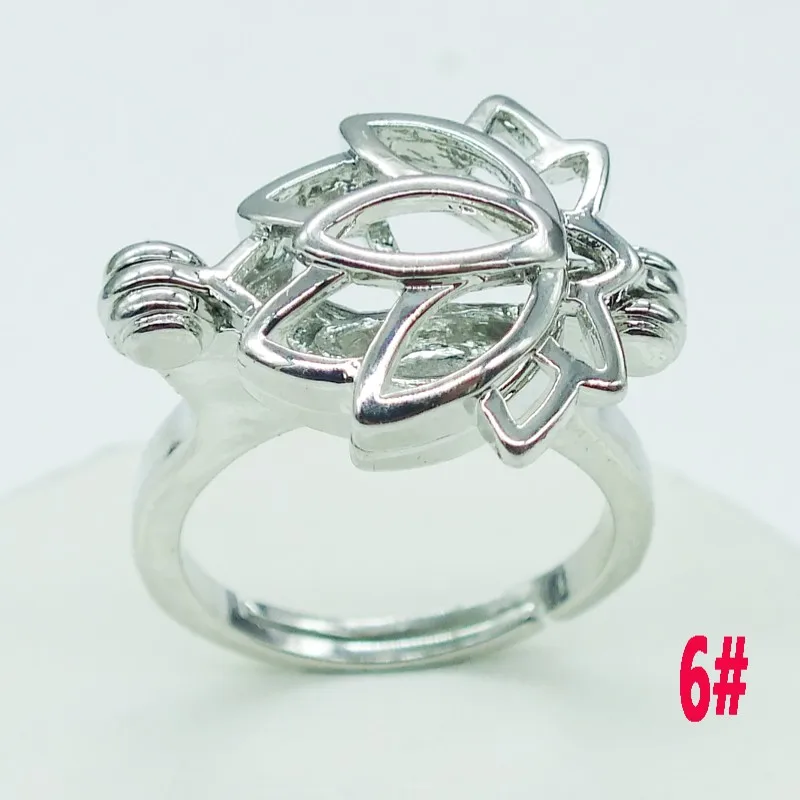

many design pearl cage Ring (6pcs ring+6pcs Pearl oysters)