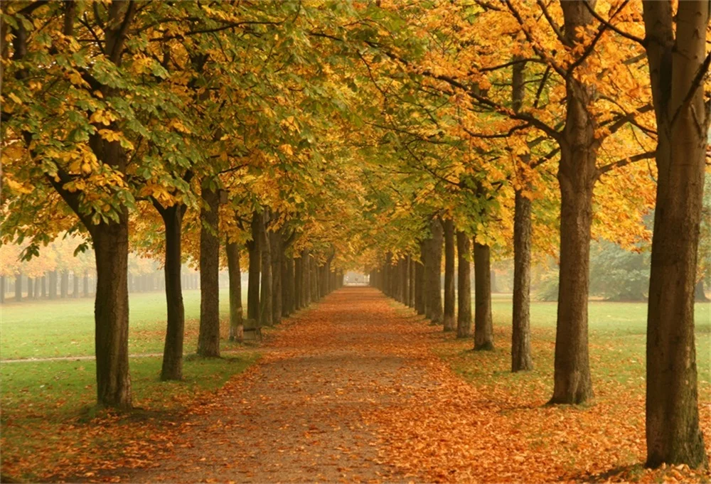

Laeacco Autumn Fallen Leaves Tree Way Portrait Scene Photographic Backgrounds Customized Photography Backdrops For Photo Studio