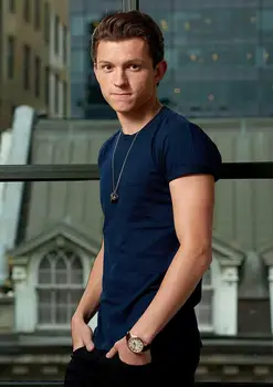 

N1907 Tom Holland Wall Sticker Silk Fabric Poster Art Indoor Decor Bright