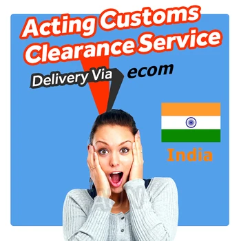 

AUN Projector, Acting Customs Clearance Service for India