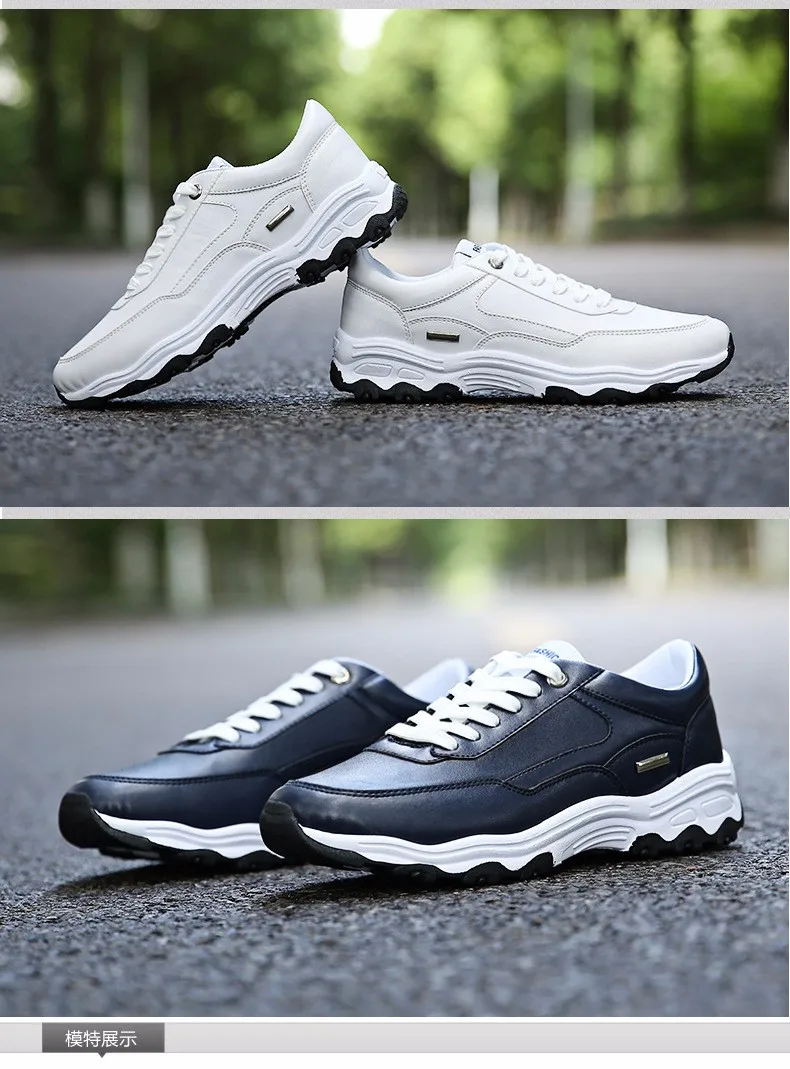 B401D1F74FCE72236EF677853300E0A2