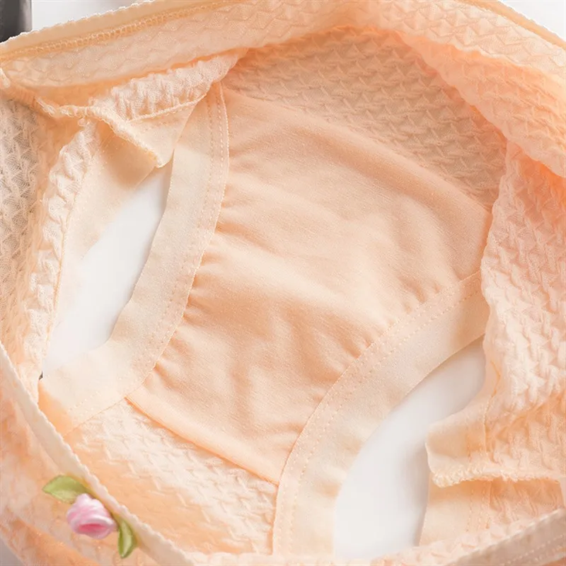 women panty (8)