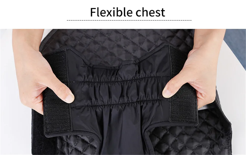 Dog Clothing (23)