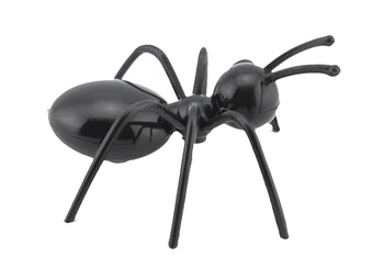 

8PCS Set Ant Magnet 5X3X2CM Mini Super Strong Rare Earth Fridge Permanet Magnet Small Ant Magnet