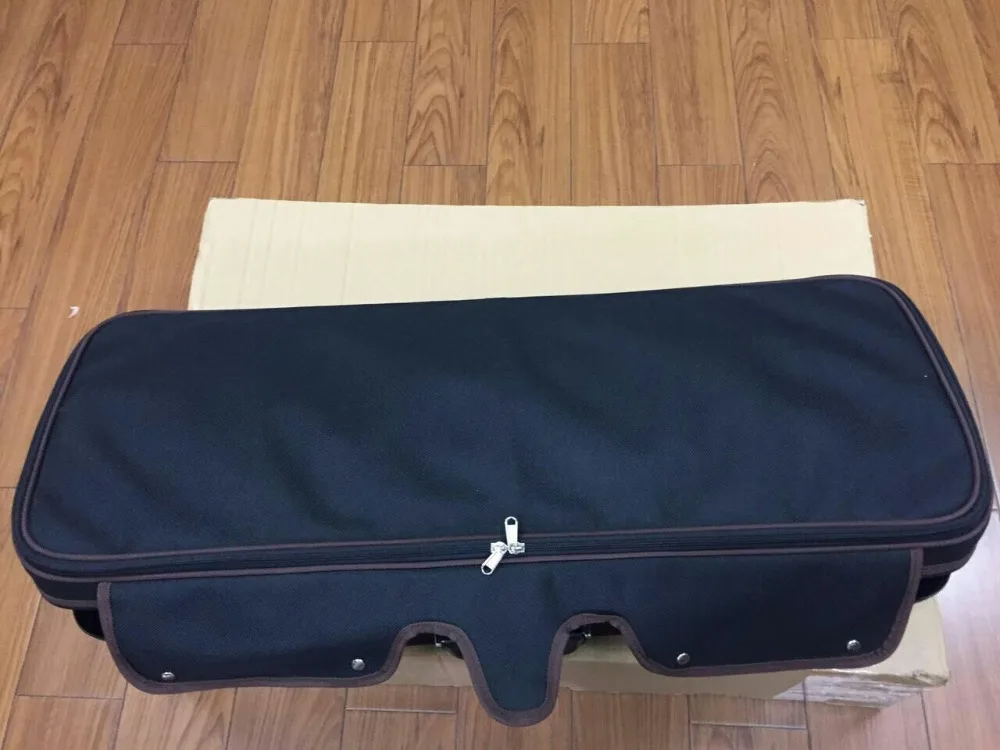 VIOLA CASE 1