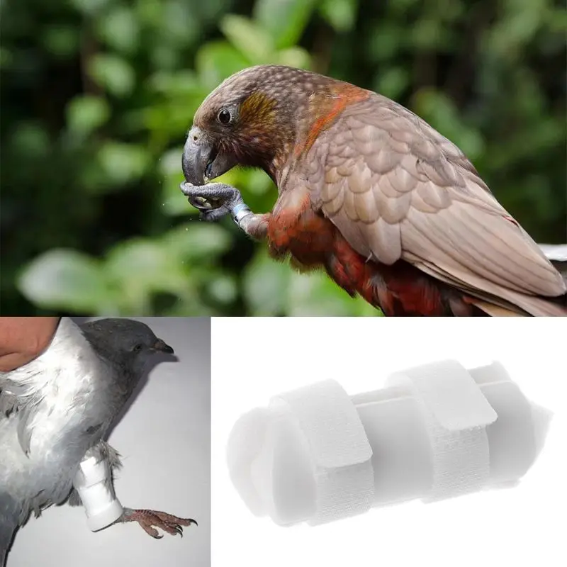 1Pc Bird Rings Leg Bands Pigeon Parrots Foot Leg Protector Chicks Bantam Poultry Leg Band Bird Supplies C42