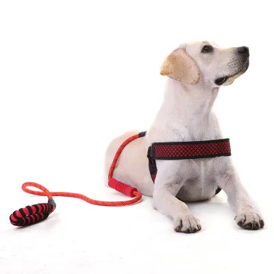 

Pet dog reflective multicolor anti-lost pet rope / pet leash for medium and large dog leashes W6