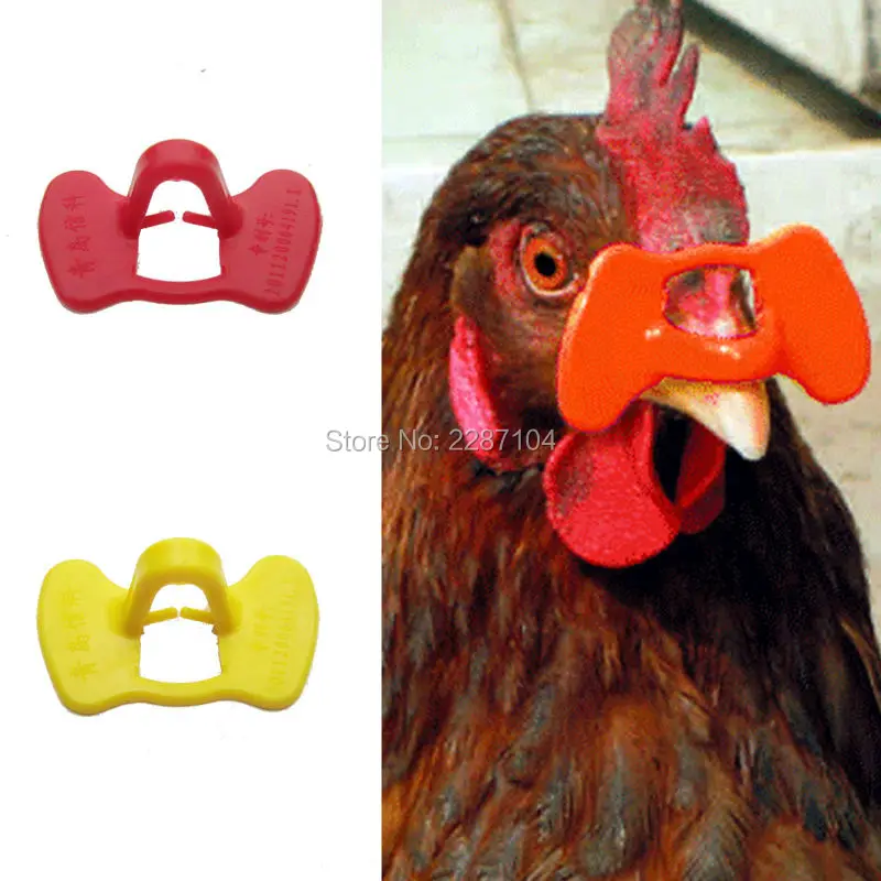 

50pc New Pinless No Pin Bolt Bird Chicken Peepers Eye Glasses Pheasant Poultry Blinders Spectacles Anti-pecking Feed Plier tool
