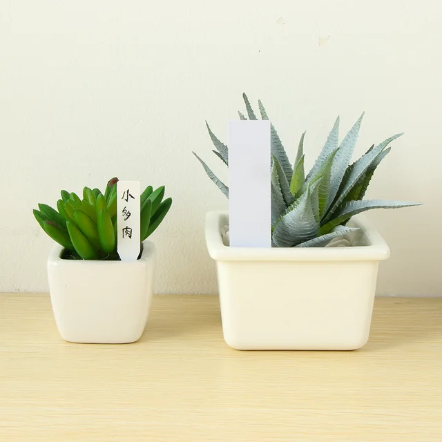 100Pcs Mini Plastic Plant Seed Label Pot Marker Newly Arrival Factory Price Cheap Nursery Garden Stake Tags Tool Drop Shipping 1