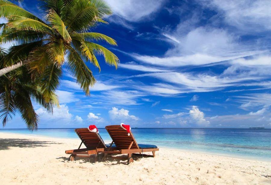 Laeacco Tropical Sea Beach Lounge Chair Palm Tree View Photography Background Customized Photographic Backdrop For Photo Studio
Laeacco Tropical Sea Beach Lounge Chair Palm Tree View Photography Background Customized Photographic Backdrop For Photo Studio