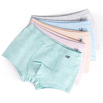 

2 Pcs/Lot Organic Cotton Kids Boys Underwear Pure Color Babys Shorts Panties Boys Boxer Children's Teenager Underwear 3-12 Year