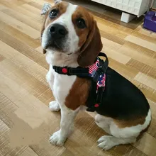 

COOLFIELD Dog leash small dog vest style strap dog chain collar medium dog rope 2018 new listing