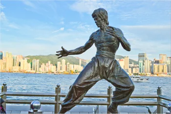 

7x5ft Jeet Kune Do Bruce Lee Statue Custom Photo Studio Background Backdrop Vinyl Banner 220cm x 150cm